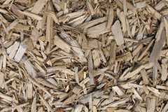 biomass boilers Caute